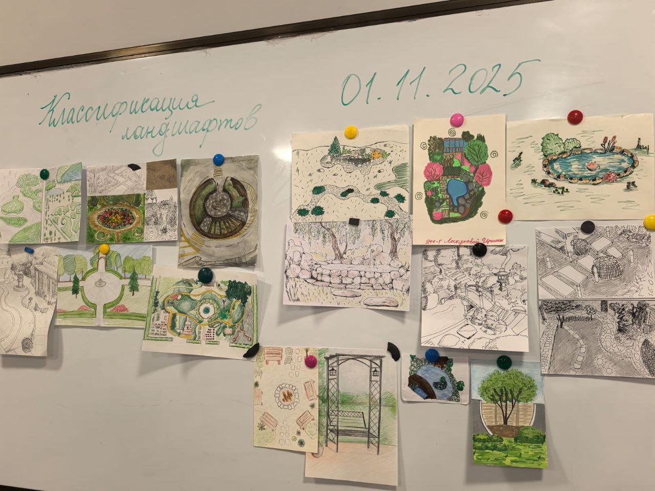 От теории к практике: студенты-дизайнеры создают ландшафтные проекты