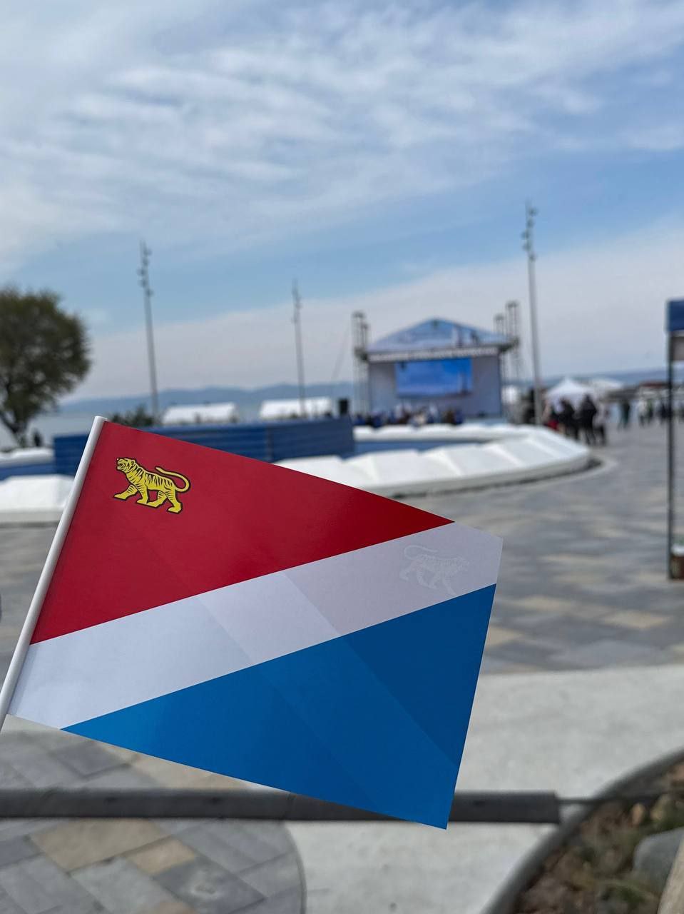 Волонтёры колледжа на праздновании Дня Приморского края и Дня отца